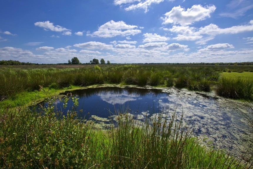 Natuur